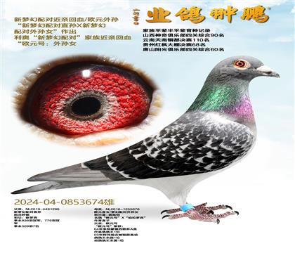 ���λ���Խ��׻�Ѫ/ŷԪ����