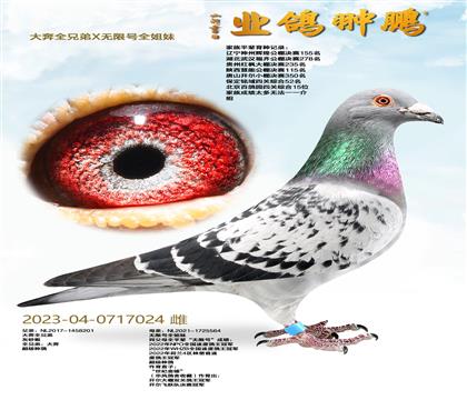 ��ȫ�ֵ�X���޺�ȫ����