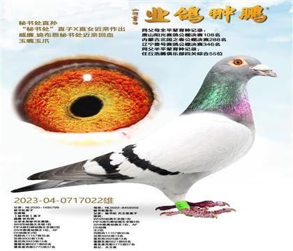 ���鴦ֱ��