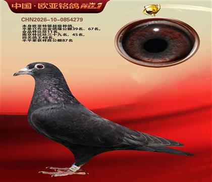 ��˹ɣ��ʿ��ɫ�쳵797X539