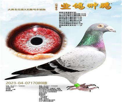 ��ȫ�ֵ�X���޺�ȫ����