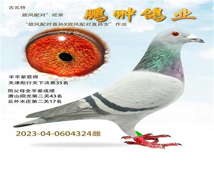 �����ء�������ԡ�����