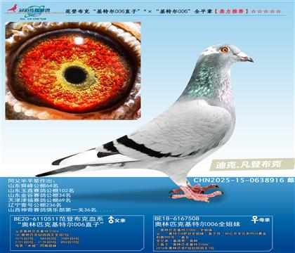 ���ǲ��ˡ����ض�006ֱ�ӡ��������ض�006��ȫƽ��