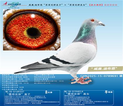 ����.�ϲ�����ī�ƶ���ֱ�ӡ�����ī�ƶ���ֱŮ��