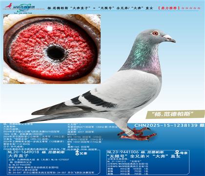 ��.������˹����ֱ�ӡ��������޺š�ȫ�ֵ�/���󱼡�ֱŮ