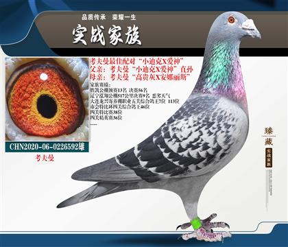 ��������С�Ͽ�X����