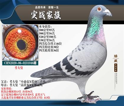 ��������С�Ͽˡ�