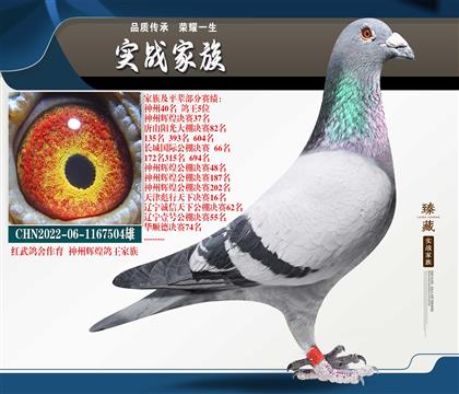 ���ݸ��� ָ�����