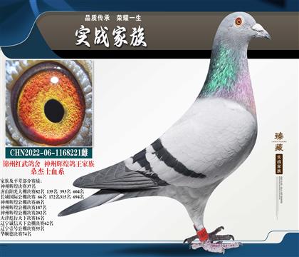 ������ �������-���ݸ���