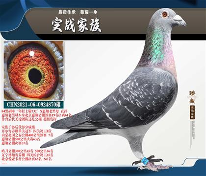 ���ں���������ǧ��