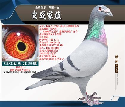 ������֮һ���Ǳȳ�������ŷ