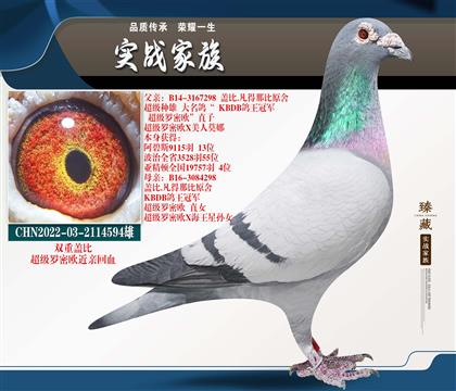 ���С��ڶ��ܡ��Ǳȳ�������ŷ