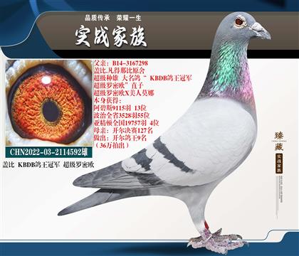 �������ܡ��Ǳȳ�������ŷ