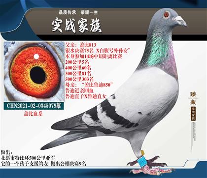 �Ǳȡ�³�ϡ���ұ����