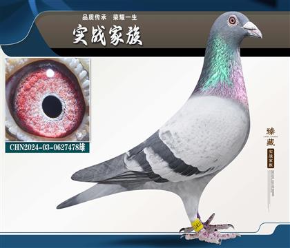 ��ιھ� ղɭ���˹