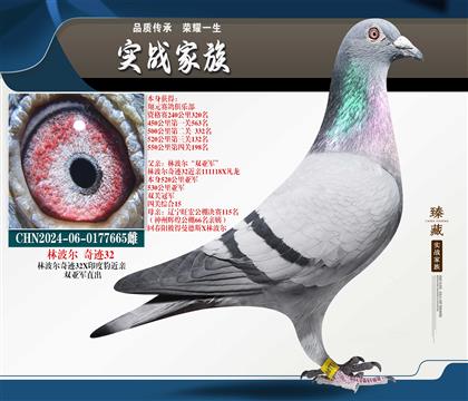 �ֲ����漣32��˫�Ǿ���