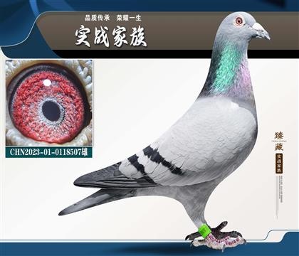 ս����� �ھ�����