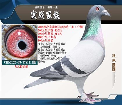 ���������ҡ�������ԡ�