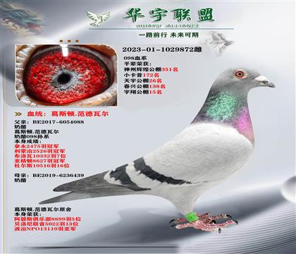 ��������� ����098ֱ��X����ֱŮ