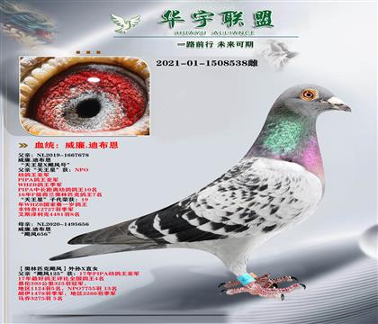 �����ϲ��� ������ֱ��X쫷�ֱŮ ��������