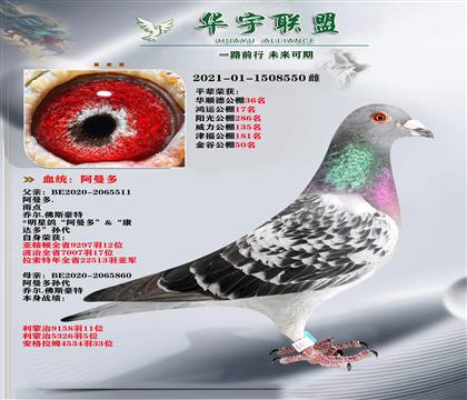 ��������� ������ֱ��X������ֱ��Ů