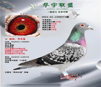 ��������뿼���� С�Ͽ�X�ٰ������ػ�Ѫ