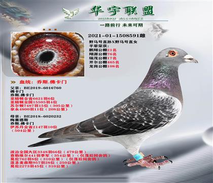 ����ʱӡ���� ���� Ұ����ֱ��XҰ����ֱŮ ��ķ