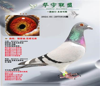 ���׵� ���������� �ٰ���ֱ��X�ٰ�������Ů