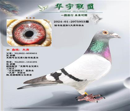 �����˹ ���鴦ֱ��X������Ů ��ķ