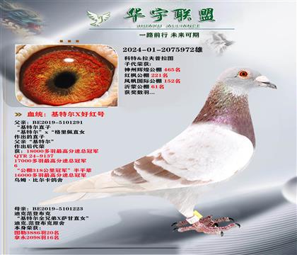 ���ض�ֱ��X����ֱ��Ů ������Ѫ