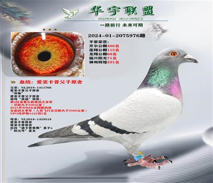 ��������� ��������ֱ��X�Ͽ������ֱŮ