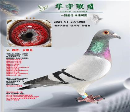 ��������� ���޺� ����Ů ������ķ