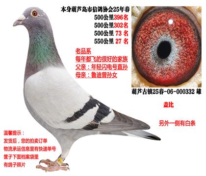 25�괺�Ĺ�500�����λ�ɼ��루�Ǳȣ�