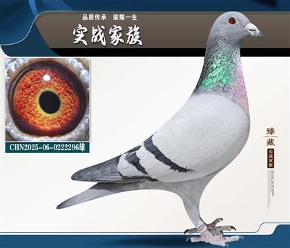 ���־�����Ӱ������0222296