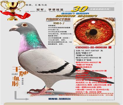 ���ҷ��ƴ�