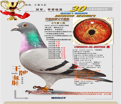 ��ƿˡ������ơ�