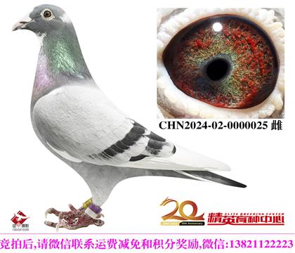 ����.Ӣ��˹94-178ֱ��