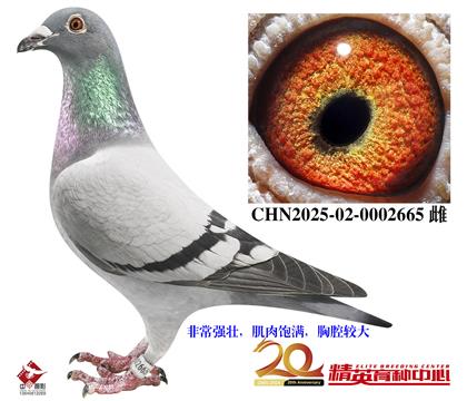 ���ǲ��˸ߴ������ִ�