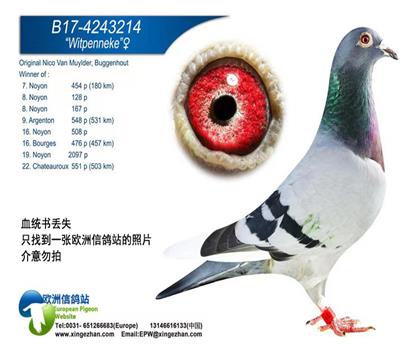 ���.���µ¶�ԭ�������룬������������003��³�ϵ϶�˹