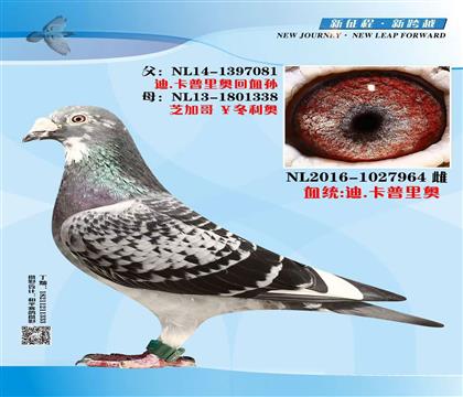 �������������ϸ���-�Ͽ�������