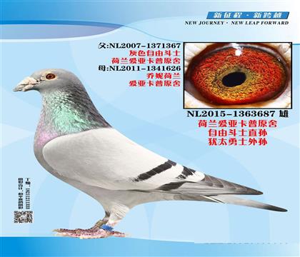 �������ǿ��գ����ɶ�ʿֱ��687