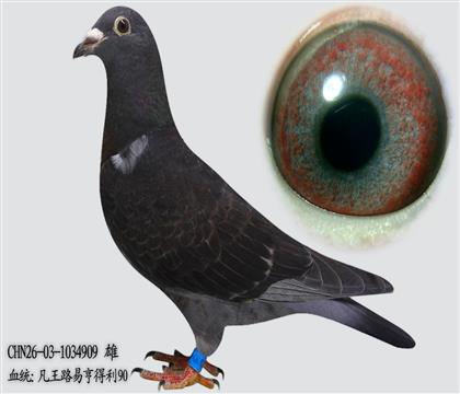 ����·�׺����90