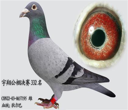 �Ҷ��� ����332��