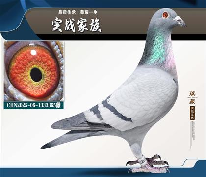 ����Ÿ�������