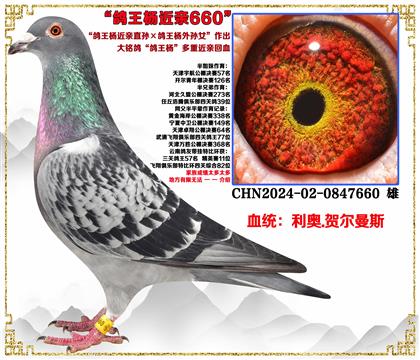 ���¡����������ֱ�������������Ů�����׻�Ѫ