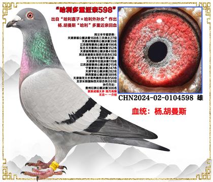 ��.����˹������ֱ�ӡ���������Ů�����׻�Ѫ