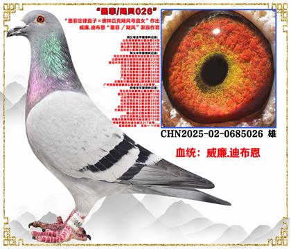 ����.�ϲ�����ī�ƶ���ֱ�ӡ�����ƥ��쫷��ֱŮ��