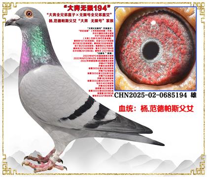 ��.������˹����ȫ�ֵ�ֱ�ӡ����޺�ȫ�ֵ�ֱŮ��