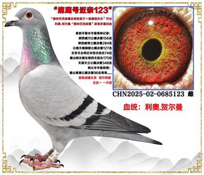 ���¡�����ƥ����ӥȫ����ֱ��X��ӥֱ��Ů����������