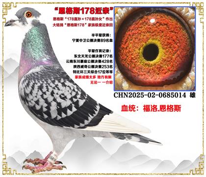 ����.����˹��178ֱ���178ֱ��Ů�����ؽ��׻�Ѫ